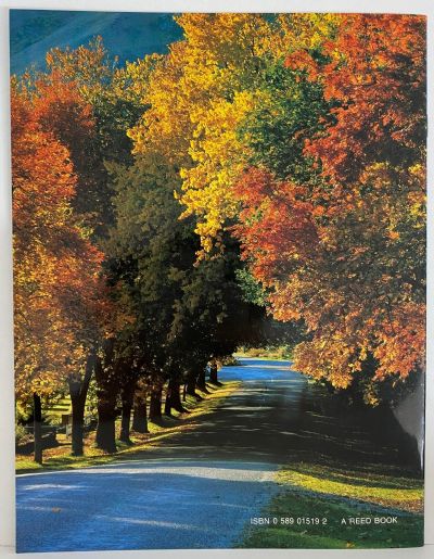 SOUTHERN LAKES AND DISTRICT: Wanaka - Queenstown - Fiordland