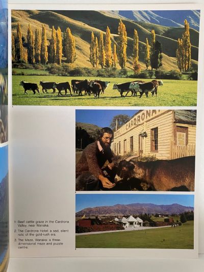 SOUTHERN LAKES AND DISTRICT: Wanaka - Queenstown - Fiordland