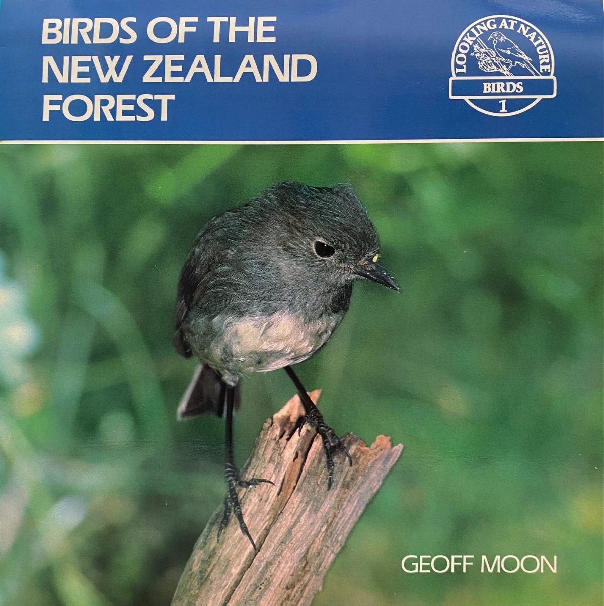 BIRDS OF THE NEW ZEALAND FOREST
