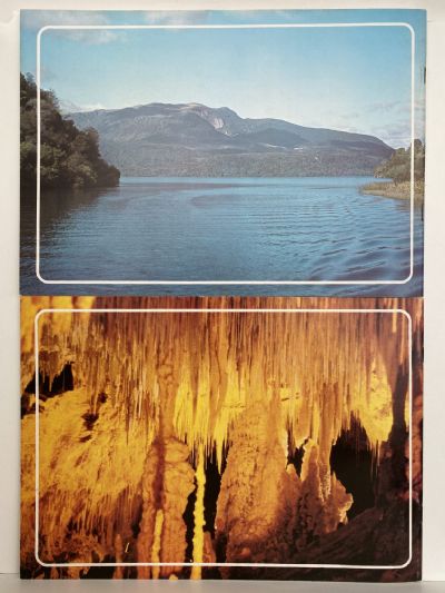 SCENIC RESERVES OF SOUTH AUCKLAND: Books 1+2