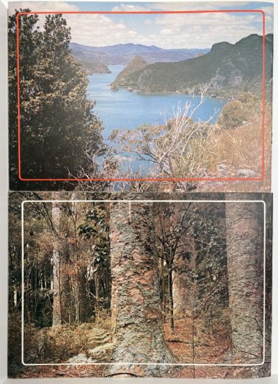 SCENIC RESERVES OF NORTH AUCKLAND: Books 1+2