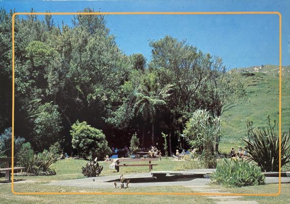 SCENIC RESERVES OF HAWKE'S BAY