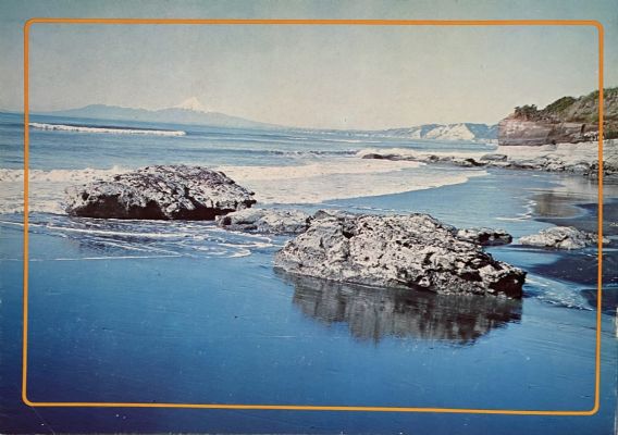 SCENIC RESERVES OF TARANAKI