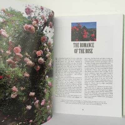 Creative Ideas for New Zealand Gardens