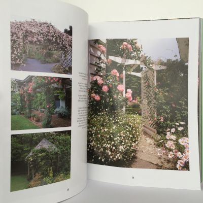 Creative Ideas for New Zealand Gardens