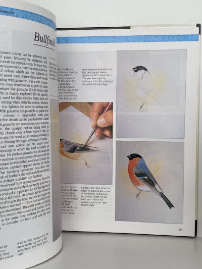 PAINTING BIRDS AND ANIMALS: The Artist's Handbook Series