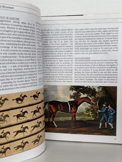 PAINTING BIRDS AND ANIMALS: The Artist's Handbook Series