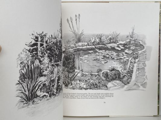 JOURNEY THROUGH A LANDSCAPE: Paintings of New Zealand