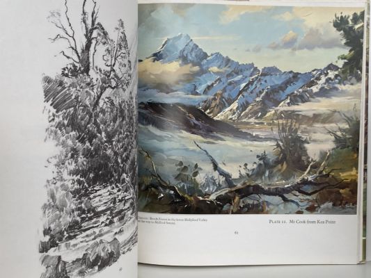 JOURNEY THROUGH A LANDSCAPE: Paintings of New Zealand