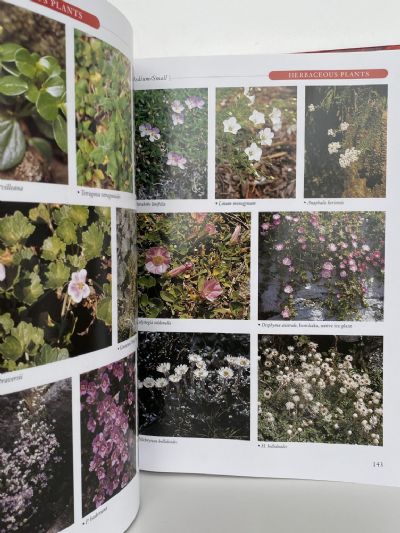 THE GARDNER'S ENCYCLOPAEDIA OF NEW ZEALAND NATIVE PLANTS