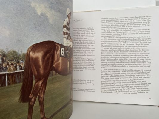DECADE OF CHAMPIONS: The Greatest Years In The History of Thoroughbred Racing 1970-1980