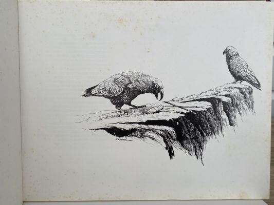 NEW ZEALAND'S MAJESTIC WILDERNESS: Fiordland's West Coast Sounds - A Collection of 52 Paintings