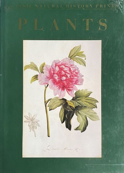CLASSIC NATURAL HISTORY PRINTS: Plants 