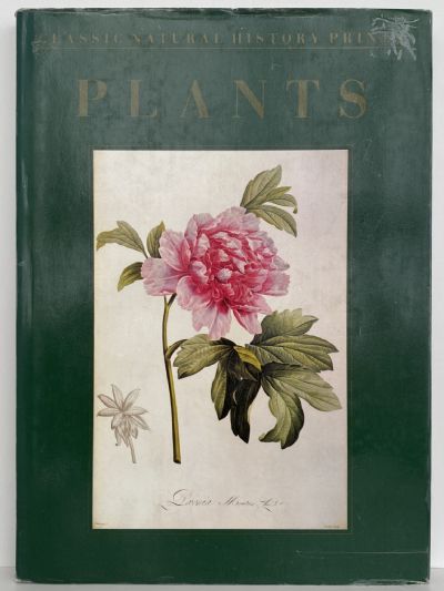 CLASSIC NATURAL HISTORY PRINTS: Plants