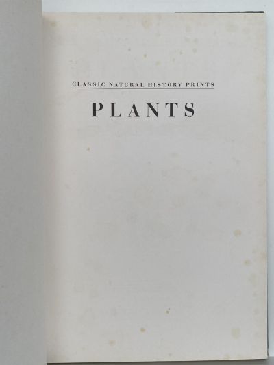 CLASSIC NATURAL HISTORY PRINTS: Plants