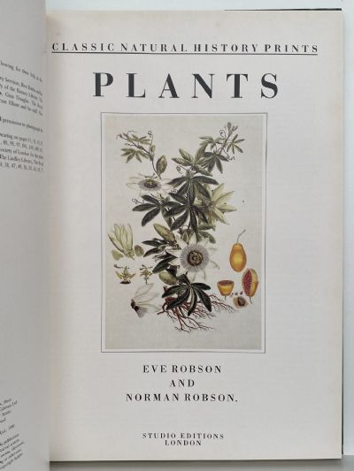 CLASSIC NATURAL HISTORY PRINTS: Plants