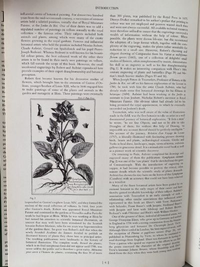 CLASSIC NATURAL HISTORY PRINTS: Plants