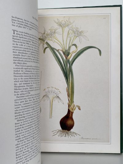 CLASSIC NATURAL HISTORY PRINTS: Plants