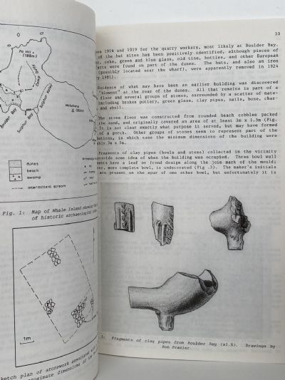 HISTORICAL REVIEW: Bay of Plenty Journal of History - Volume 35, No.1 - May 1997