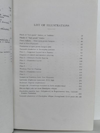 AFFORESTATION IN SOUTHERN LANDS