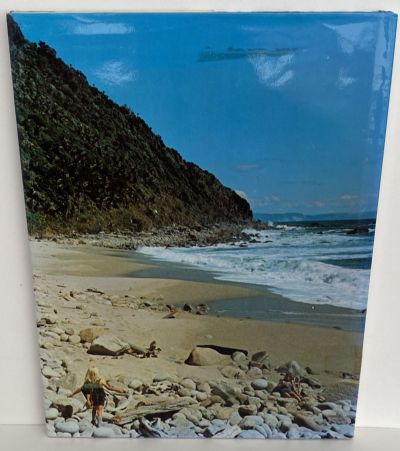 HIGH SUMMER ON THE HEAPHY TRACK