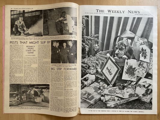 OLD NEWSPAPER: The Weekly News - No. 4752, 22 December 1954