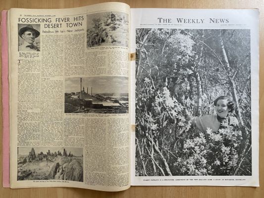 OLD NEWSPAPER: The Weekly News - No. 4745, 3 November 1954