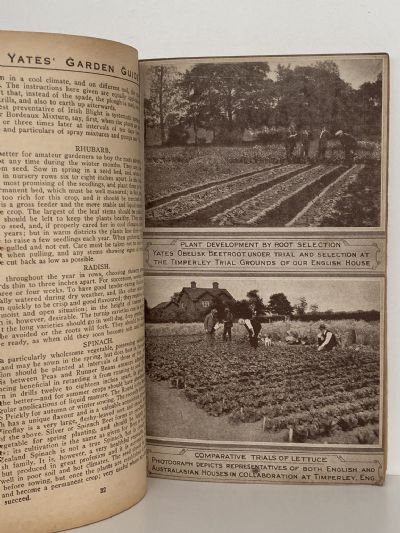 YATES GARDEN GUIDE: 32nd Revised Edition