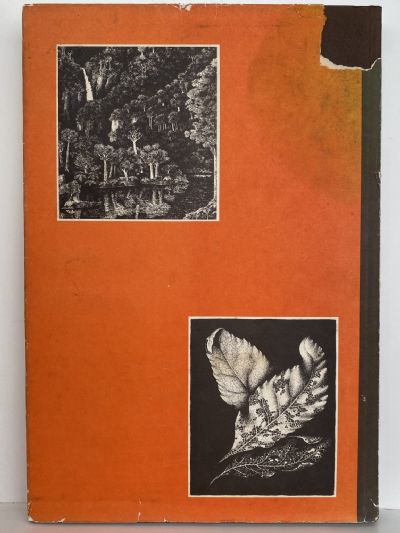 REI HAMON: Artist of the New Zealand Bush - his life & drawings + 2nd collection