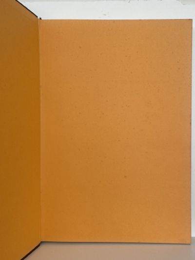 REI HAMON: Artist of the New Zealand Bush - his life & drawings + 2nd collection