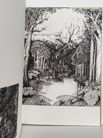 REI HAMON: Artist of the New Zealand Bush - his life & drawings + 2nd collection