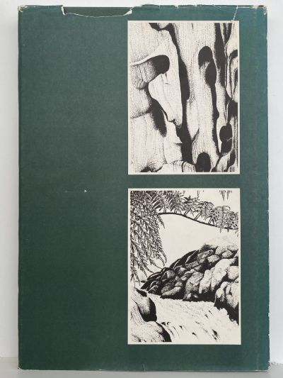 REI HAMON: Artist of the New Zealand Bush - his life & drawings + 2nd collection