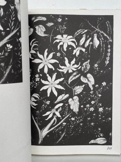 REI HAMON: Artist of the New Zealand Bush - his life & drawings + 2nd collection