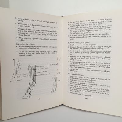 The Horsemasters Notebook