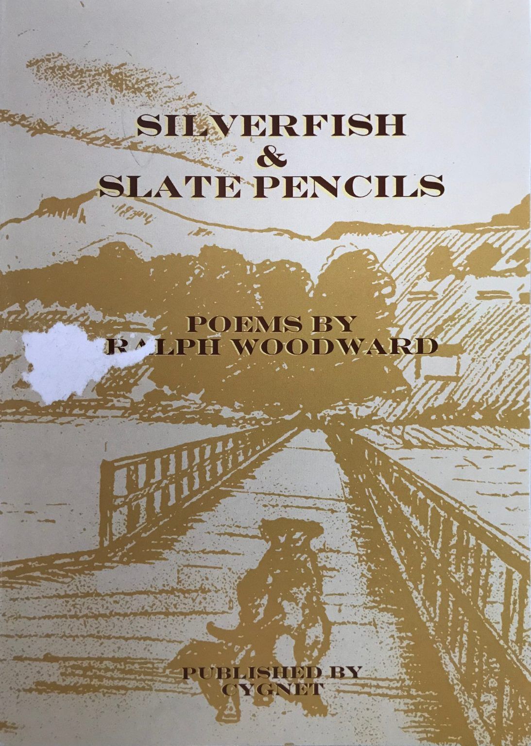 SILVERFISH & SLATE PENCILS