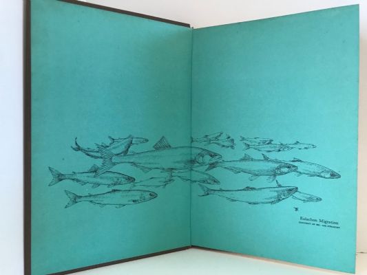 TOMMY BRAYSHAW: The Ardent Angler-Artist