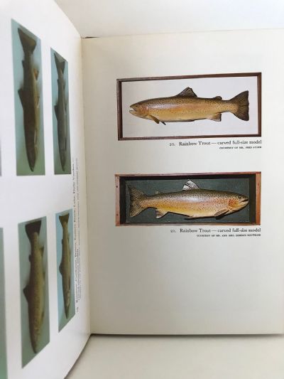TOMMY BRAYSHAW: The Ardent Angler-Artist