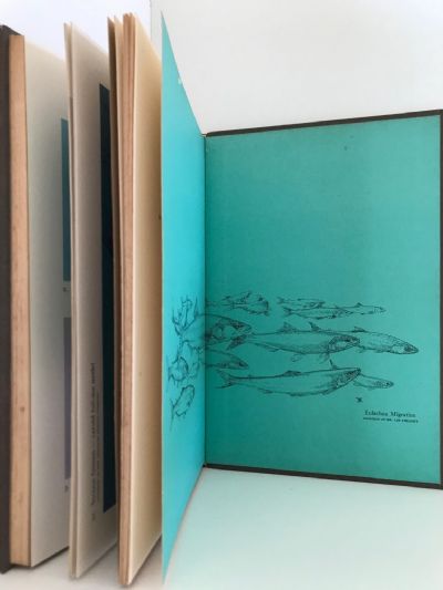 TOMMY BRAYSHAW: The Ardent Angler-Artist