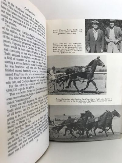 CARDIGAN BAY: The Horse that won a Million Dollars