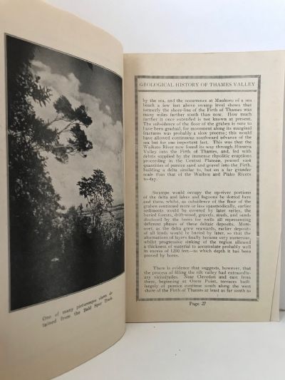 TE AROHA AND THE FORTUNATE VALLEY: Pioneering In The Thames Valley 1867-1930