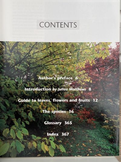 EXOTIC TREES IN NEW ZEALAND: The Broadleaves