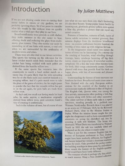 EXOTIC TREES IN NEW ZEALAND: The Broadleaves