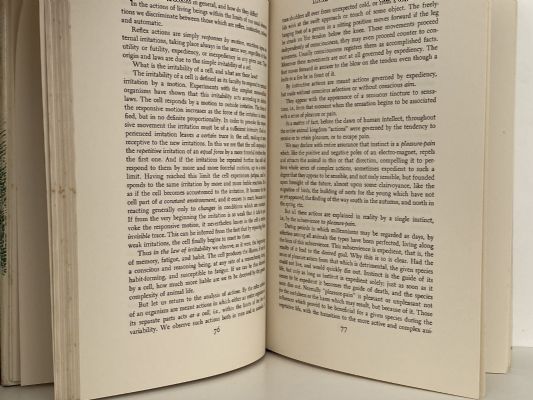 TERTIUM ORGANUM: A Key to the Enigmas of The World