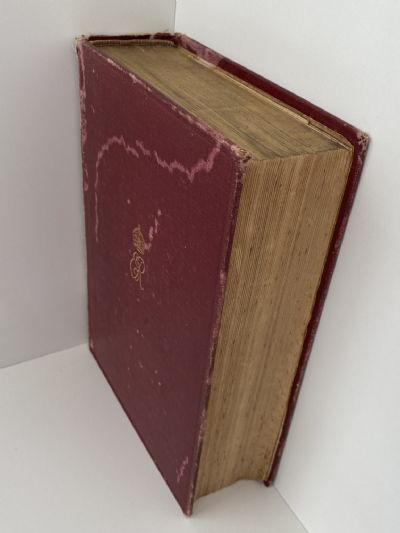 KING EDWARD VII: A Biography, From Birth to Accession Vol.1