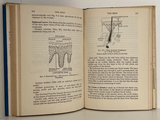 ANATOMY & PHYSIOLOGY FOR NURSES: A Complete Handbook