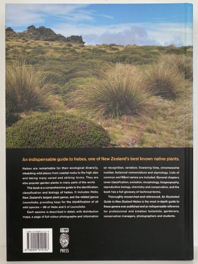 AN ILLUSTRATED GUIDE TO NEW ZEALAND HEBES