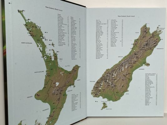 AN ILLUSTRATED GUIDE TO NEW ZEALAND HEBES