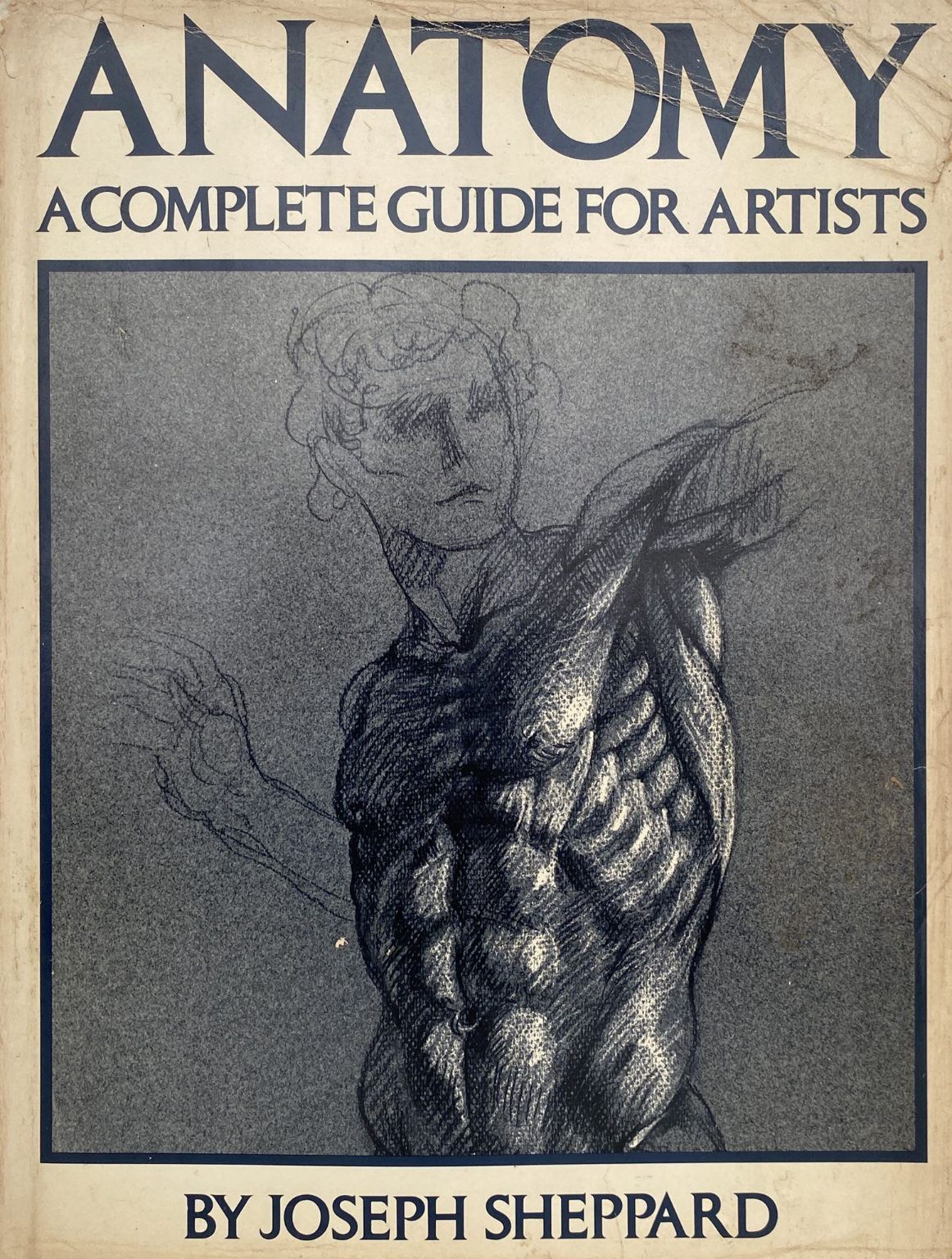 ANATOMY: A Complete Guide For Artists