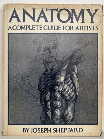 ANATOMY: A Complete Guide For Artists