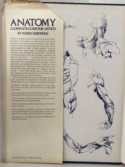 ANATOMY: A Complete Guide For Artists